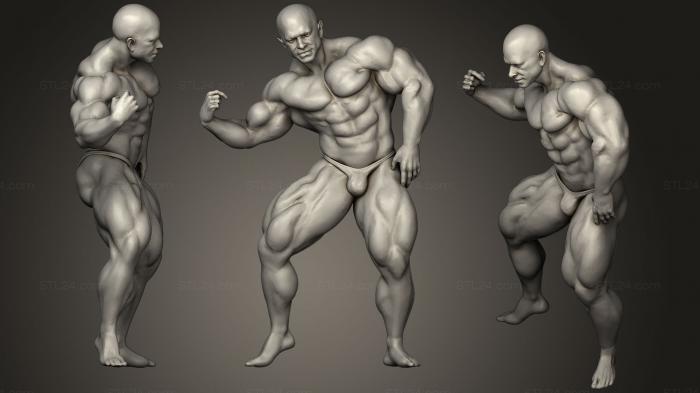 Anatomy of skeletons and skulls (Muscle Study WIP, ANTM_1270) 3D models for cnc